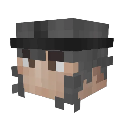 FItzReigN Minecraft avatar head, 3D render