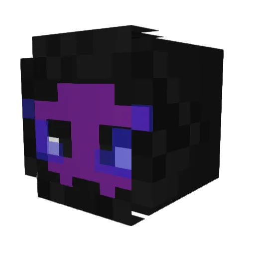 FJBTW Minecraft avatar head, 3D render