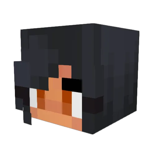 FJL15 Minecraft avatar head, 3D render
