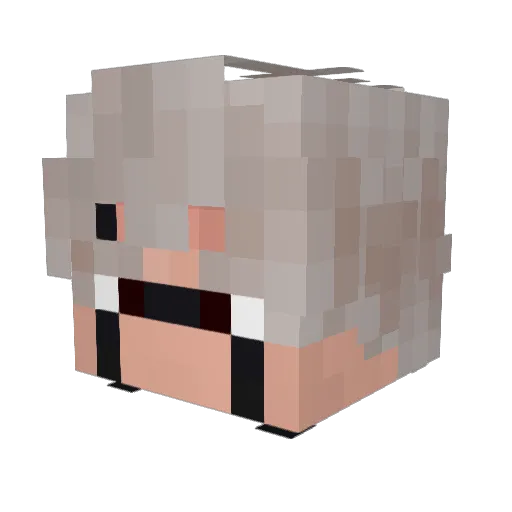 FJleak Minecraft avatar head, 3D render
