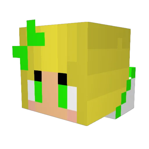 FKBsb Minecraft avatar head, 3D render