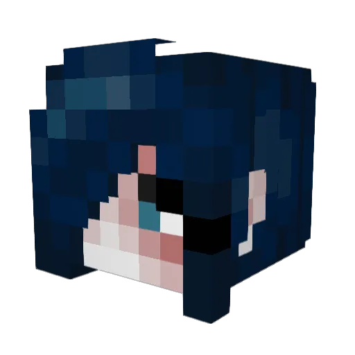 FKO Minecraft avatar head, 3D render