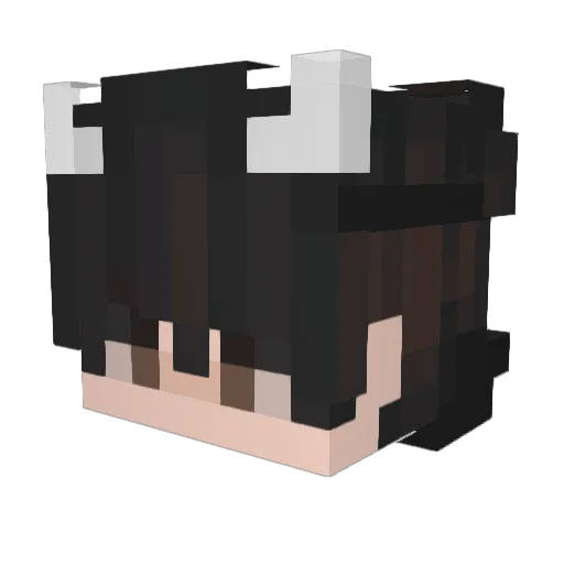 FKYK0 Minecraft avatar head, 3D render