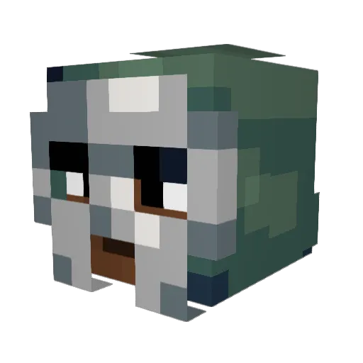FL1NX_ Minecraft avatar head, 3D render