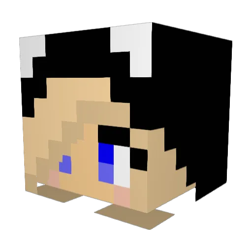 FL33Nz0 Minecraft avatar head, 3D render