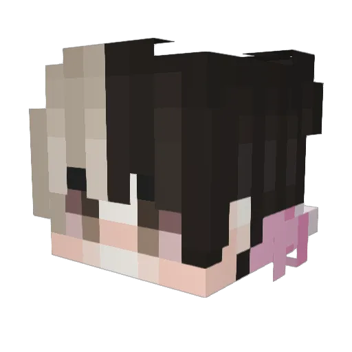 FL4Justice Minecraft avatar head, 3D render