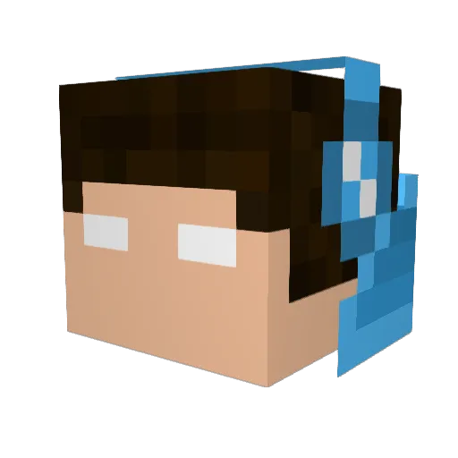 FL4MMER Minecraft avatar head, 3D render