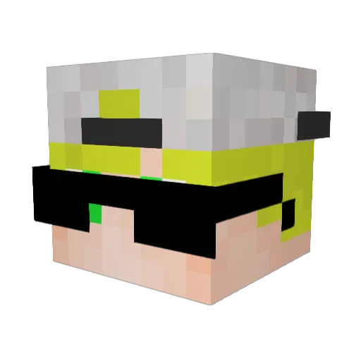 FL4SC0 Minecraft avatar head, 3D render