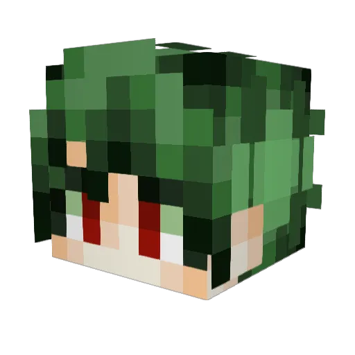 FLAMINGSKULL902 Minecraft avatar head, 3D render