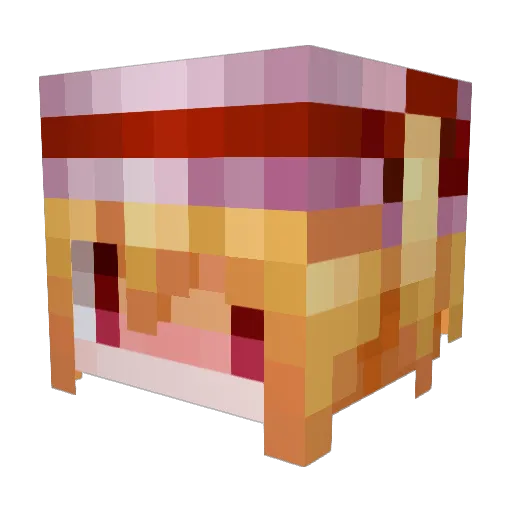 FLANSHE Minecraft avatar head, 3D render