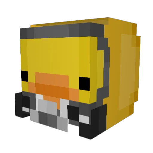 FLAPJACK_101 Minecraft avatar head, 3D render
