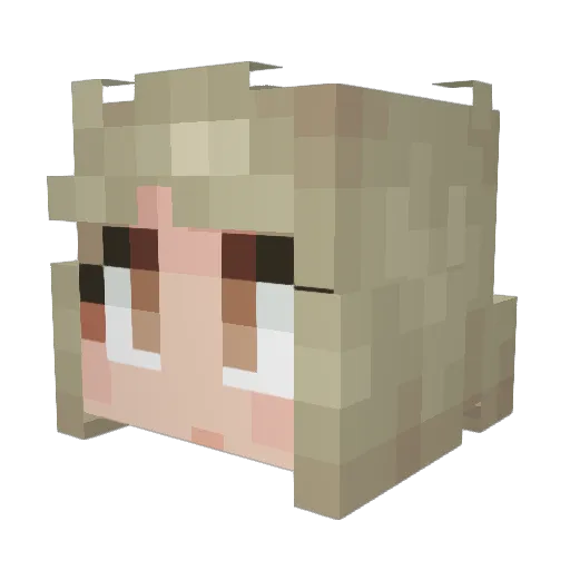 FLARGIE Minecraft avatar head, 3D render