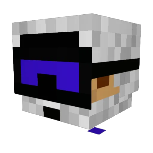 FLASHYNINJA2 Minecraft avatar head, 3D render
