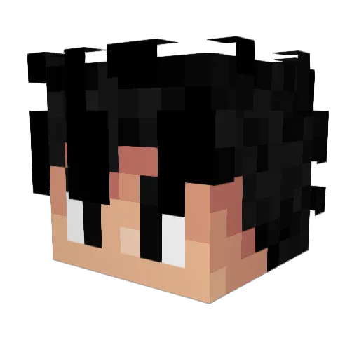 FLASH_UWU Minecraft avatar head, 3D render