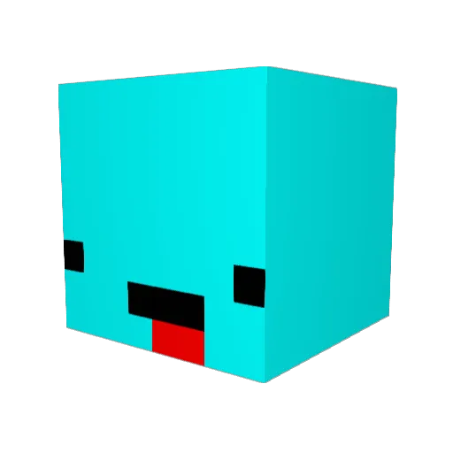 FLATULATION Minecraft avatar head, 3D render