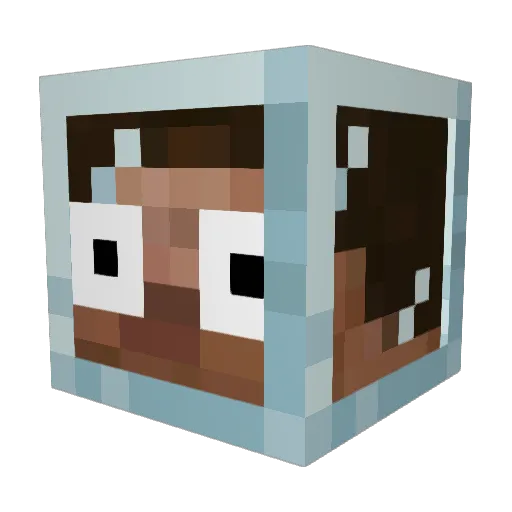 FLDSMDFRr Minecraft avatar head, 3D render