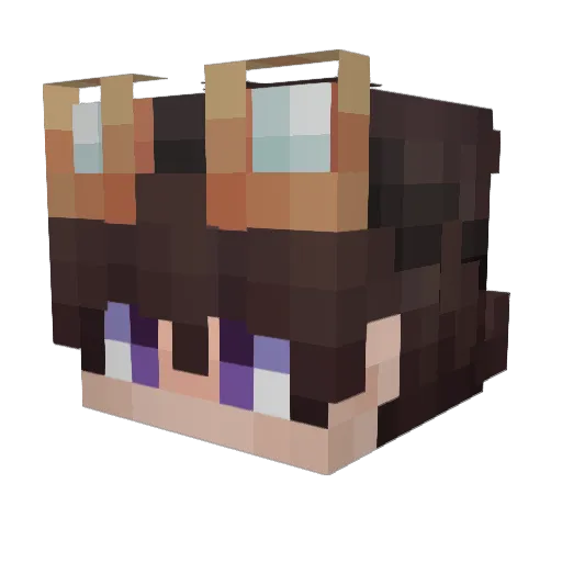 FLEYG Minecraft avatar head, 3D render