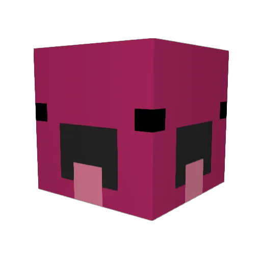 FLMGArrow137 Minecraft avatar head, 3D render