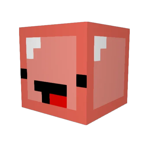 FLNX Minecraft avatar head, 3D render