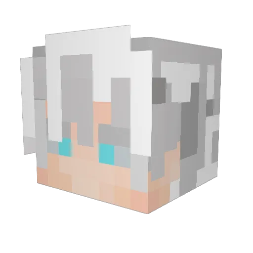 FLO2012 Minecraft avatar head, 3D render