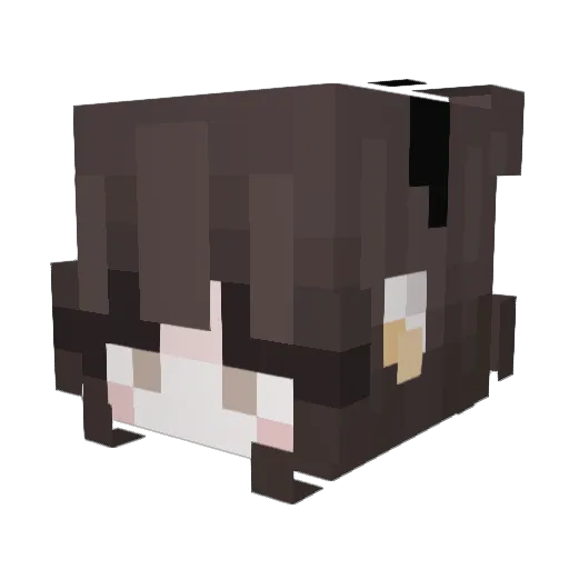 FLOKY250 Minecraft avatar head, 3D render