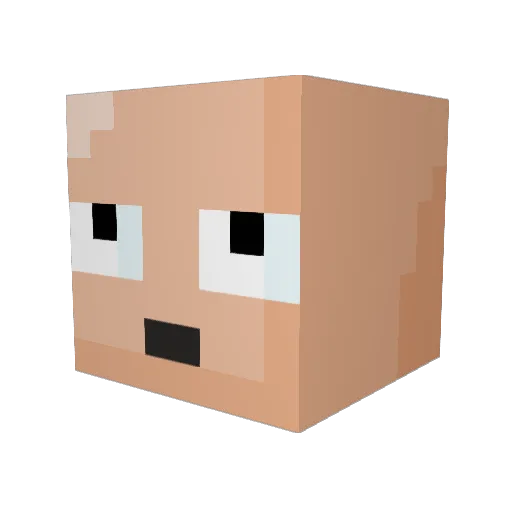 FLOMIGHT Minecraft avatar head, 3D render