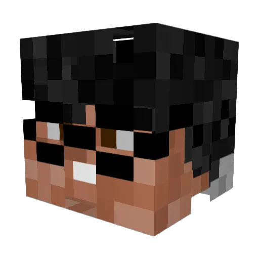 FLONYA500 Minecraft avatar head, 3D render