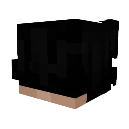 FLOPIGROSZIZI Minecraft avatar head, 3D render