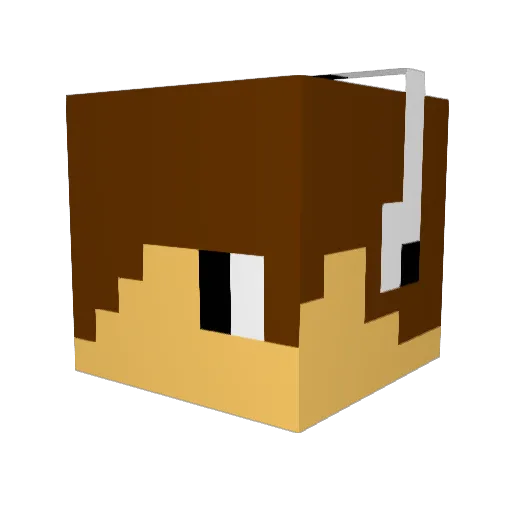 FLORI4N13 Minecraft avatar head, 3D render