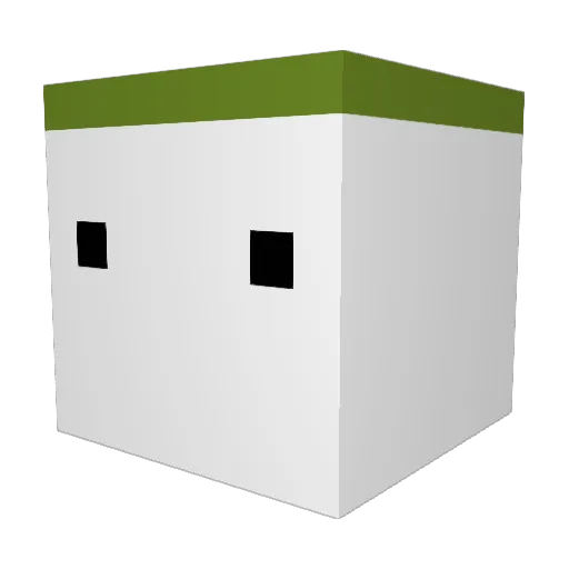 FLP_101 Minecraft avatar head, 3D render