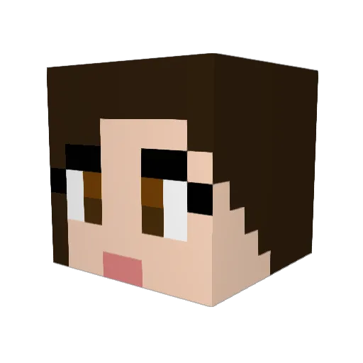 FLSF123 Minecraft avatar head, 3D render