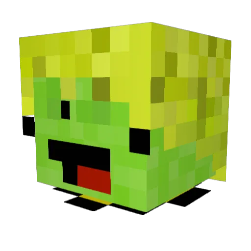 FLUFFIEDUCKY Minecraft avatar head, 3D render