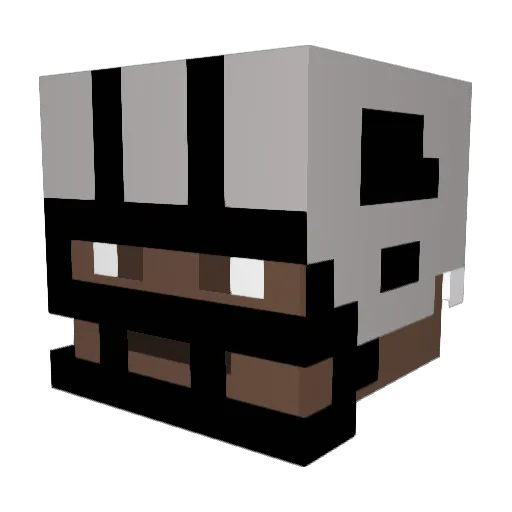 FLUFFYBUNNY35 Minecraft avatar head, 3D render
