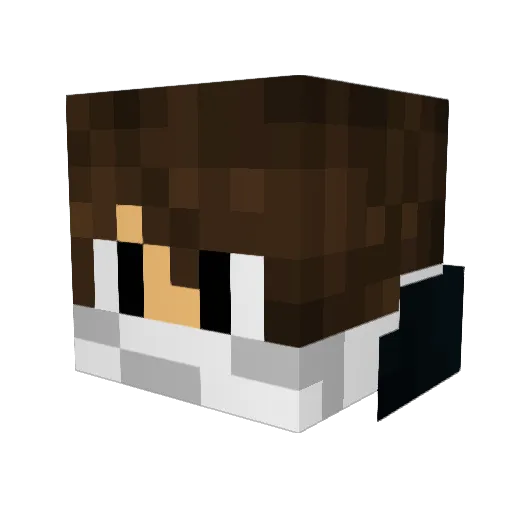 FLUFFYCHIPMUNKa Minecraft avatar head, 3D render