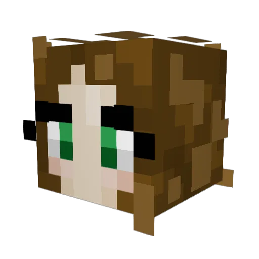 Minecraft-Avatar von FLUFFYKITTEN2013: Kopf als 3D-Render
