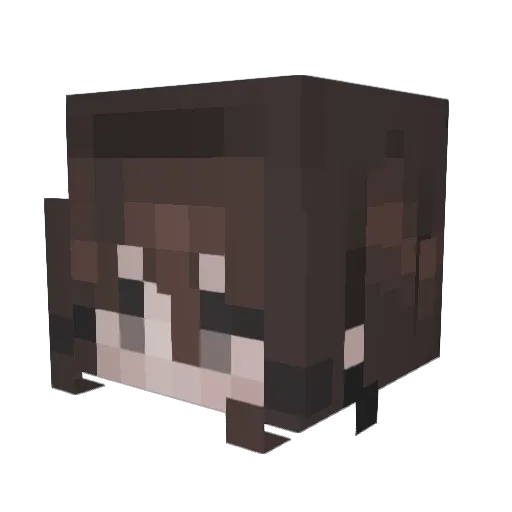 FLUFFYPOV1 Minecraft avatar head, 3D render