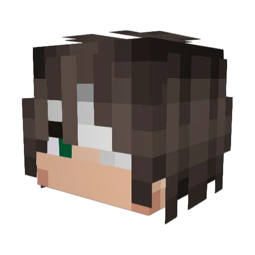 FLVX0 Minecraft avatar head, 3D render