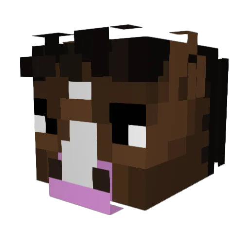 FLXNO Minecraft avatar head, 3D render