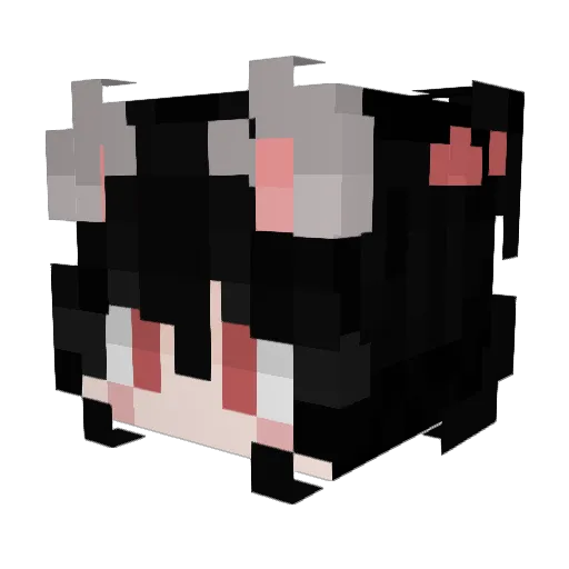 FLYFangel Minecraft avatar head, 3D render