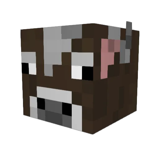 FLYRider1234 Minecraft avatar head, 3D render