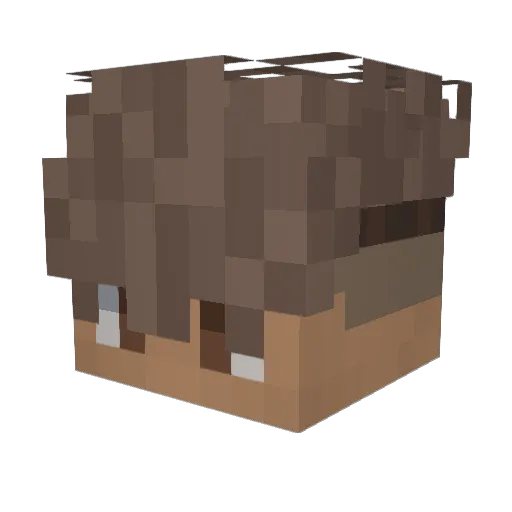 FL_Netao Minecraft avatar head, 3D render