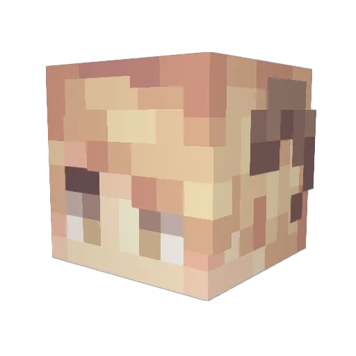FLoweriw Minecraft avatar head, 3D render