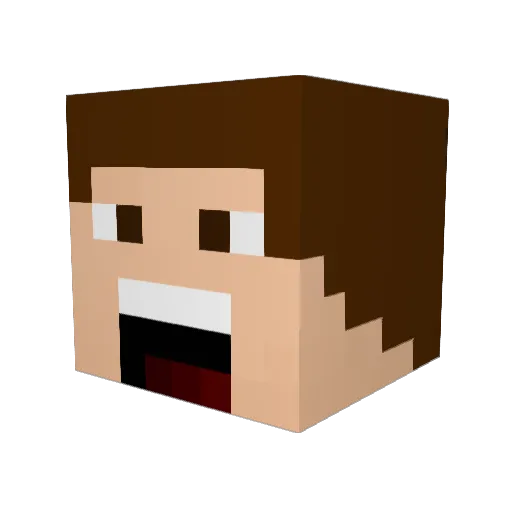 FMH1998 Minecraft avatar head, 3D render