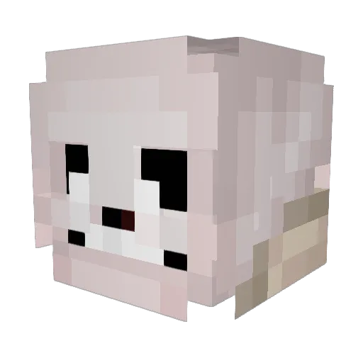 FMJunior23 Minecraft avatar head, 3D render