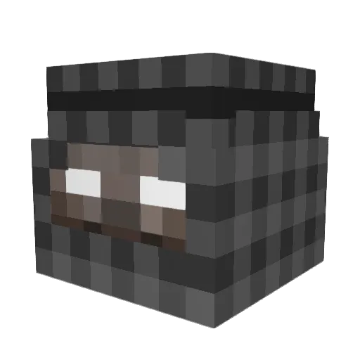 FMN03 Minecraft avatar head, 3D render