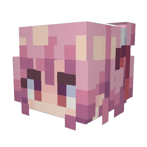 FMSAMA Minecraft avatar head, 3D render