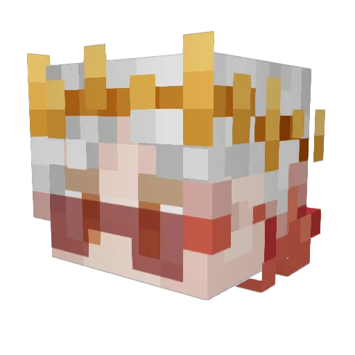 FM__FRoiZy Minecraft avatar head, 3D render