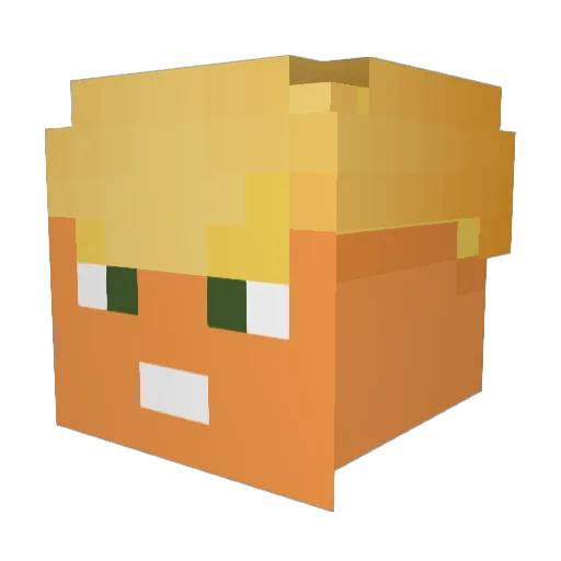 FN2907 Minecraft avatar head, 3D render
