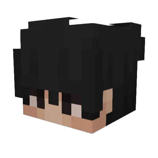 FNCSQualifier Minecraft avatar head, 3D render