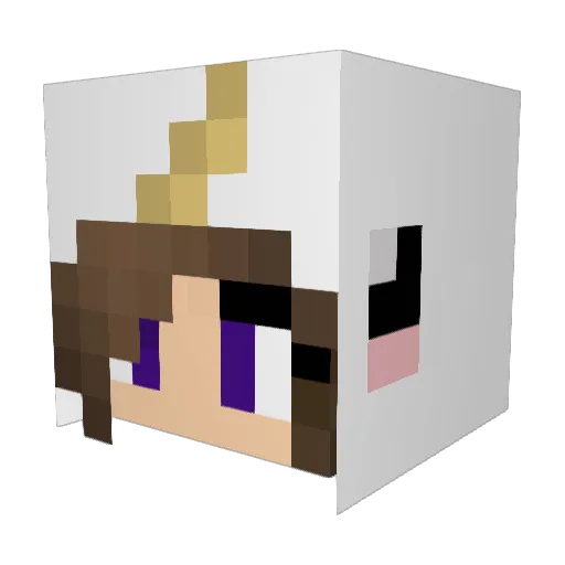 FNJEHV Minecraft avatar head, 3D render